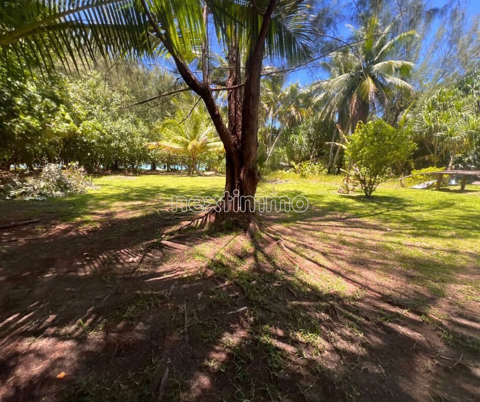 Land in Bora Bora, Leeward Islands, French Polynesia 5 - 16834316