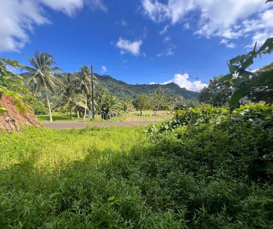 Farm Ranch in Taha'a, Leeward Islands, French Polynesia 4 - 16834294