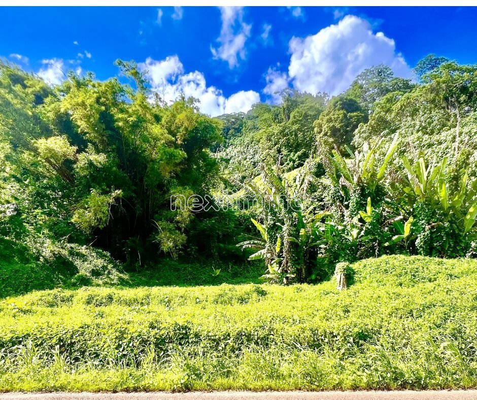 Farm Ranch in Taha'a, Leeward Islands, French Polynesia 2 - 16834294