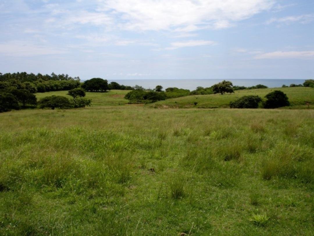 Land in Las Tablas, Los Santos Province, Panama 2 - 16831215