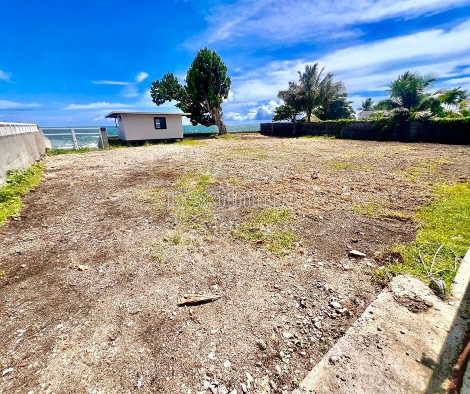 Land in Afaahiti, Windward Islands, French Polynesia 3 - 16834328