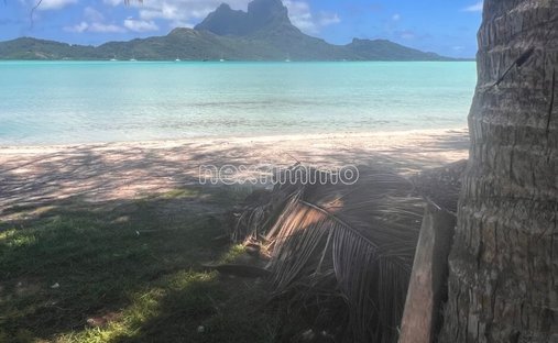 Land in Bora Bora, Leeward Islands, Französisch-Polynesien 1