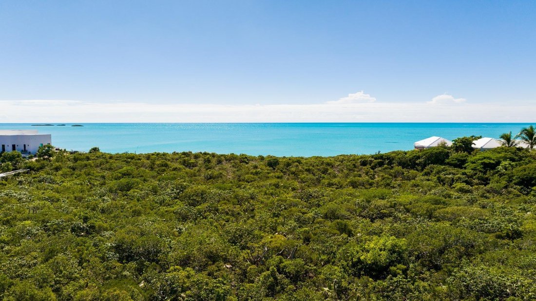Terreno en Venetian Road Settlement, Caicos Islands, Islas Turcas y Caicos 3 - 16833455