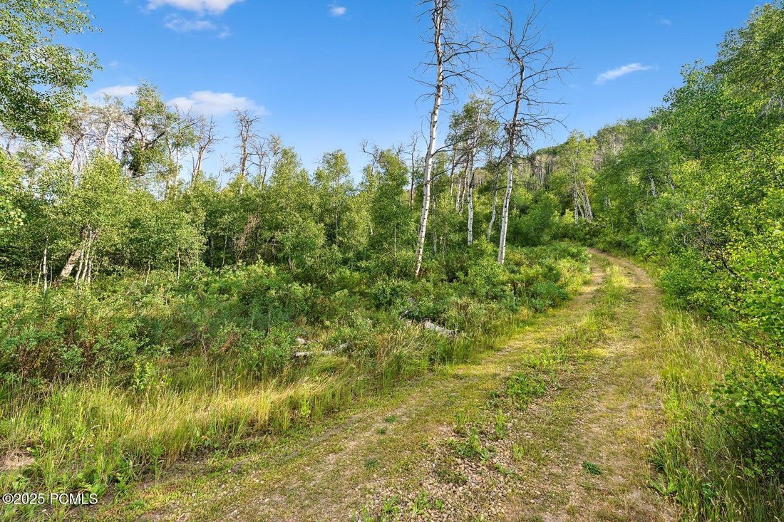 Heber City, Utah, United States 1 - 16831405