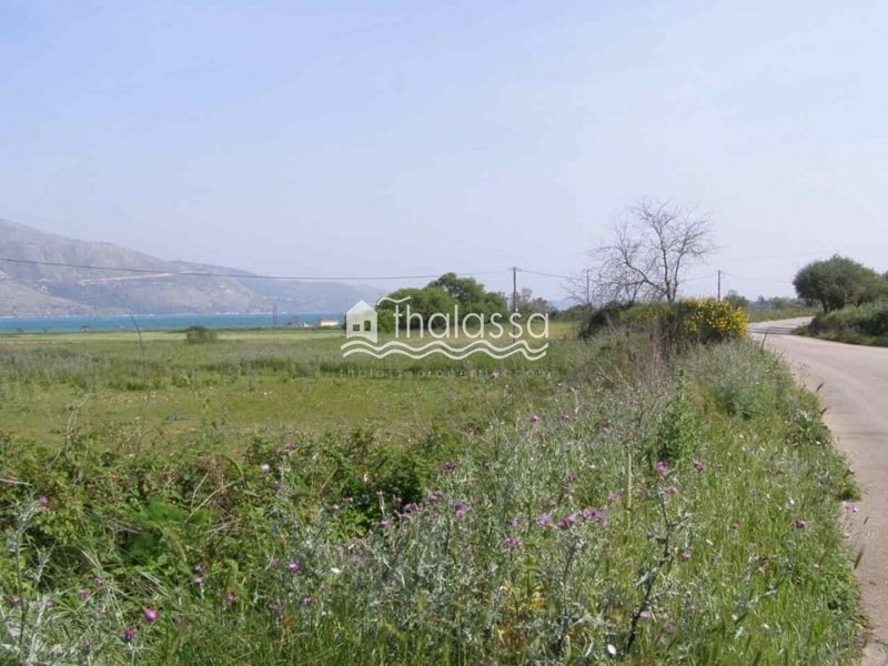 Land in Paliki, Peloponnese, Western Greece and the Ionian, Greece 2 - 16830534
