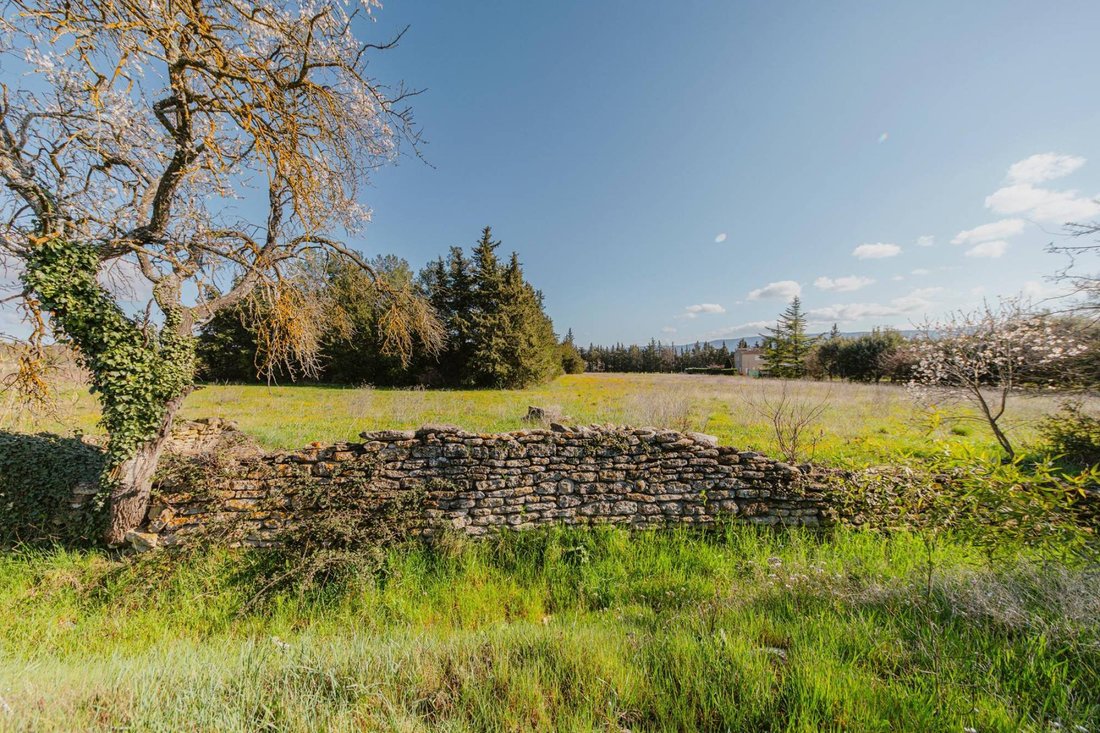 Land in Gordes, Provence-Alpes-Côte d'Azur, France 1 - 16836776