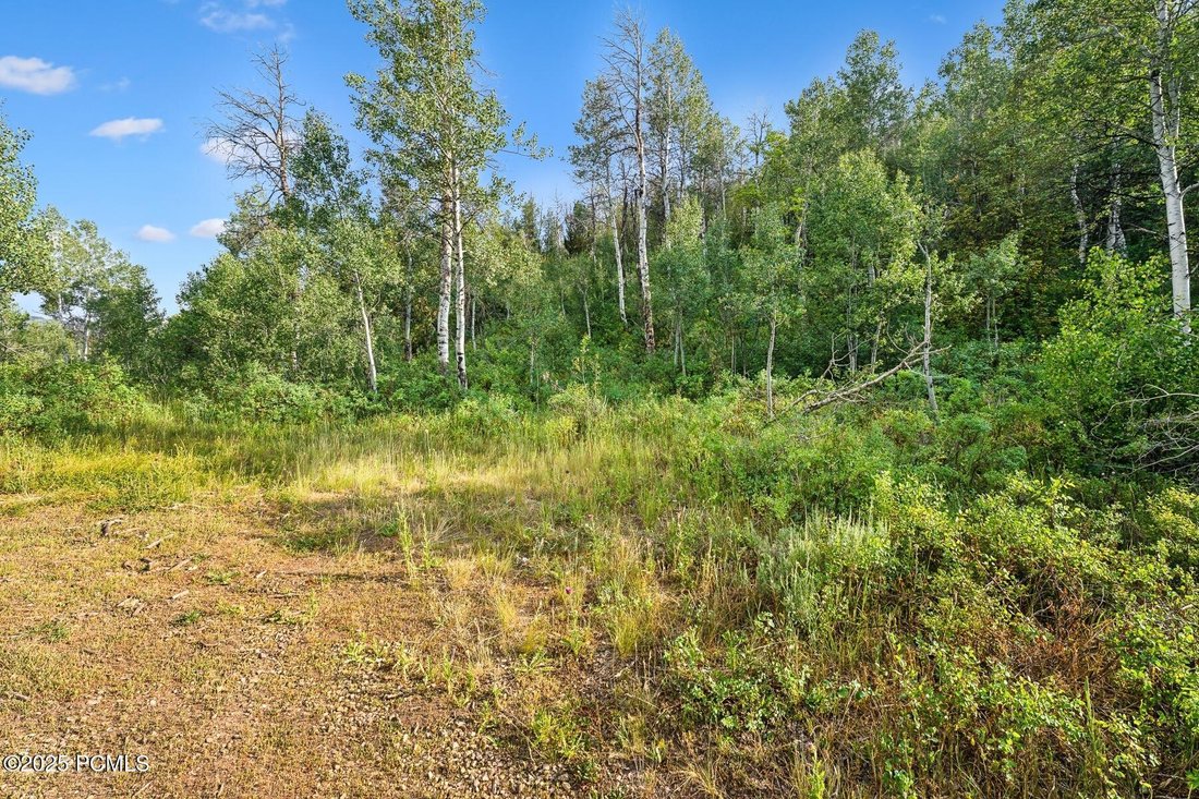 Heber City, Utah, United States 3 - 16831405