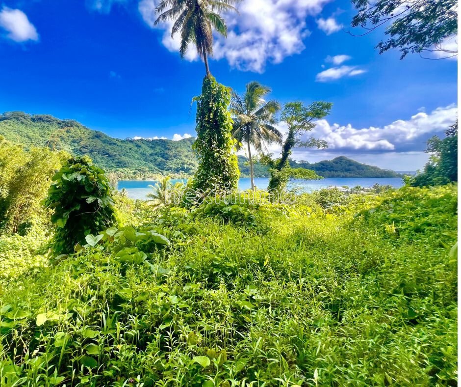 Farm Ranch in Taha'a, Leeward Islands, French Polynesia 5 - 16834294