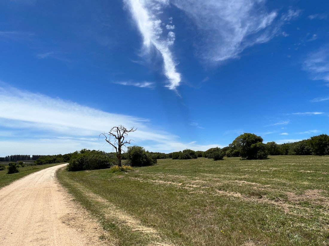 Land in José Ignacio, Maldonado Department, Uruguay 3 - 16831957