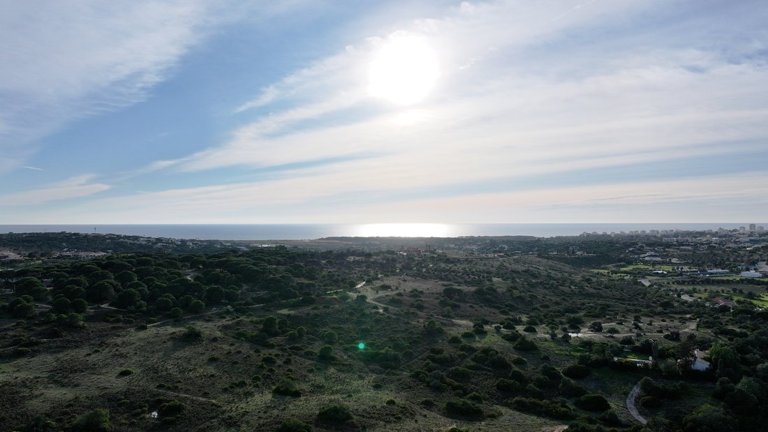 Villa in Almancil, Algarve, Portugal 4 - 16836161
