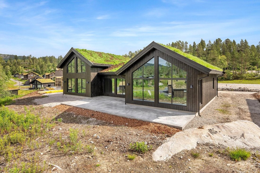 Chalet in Åseral, Agder, Norway 2 - 16835403