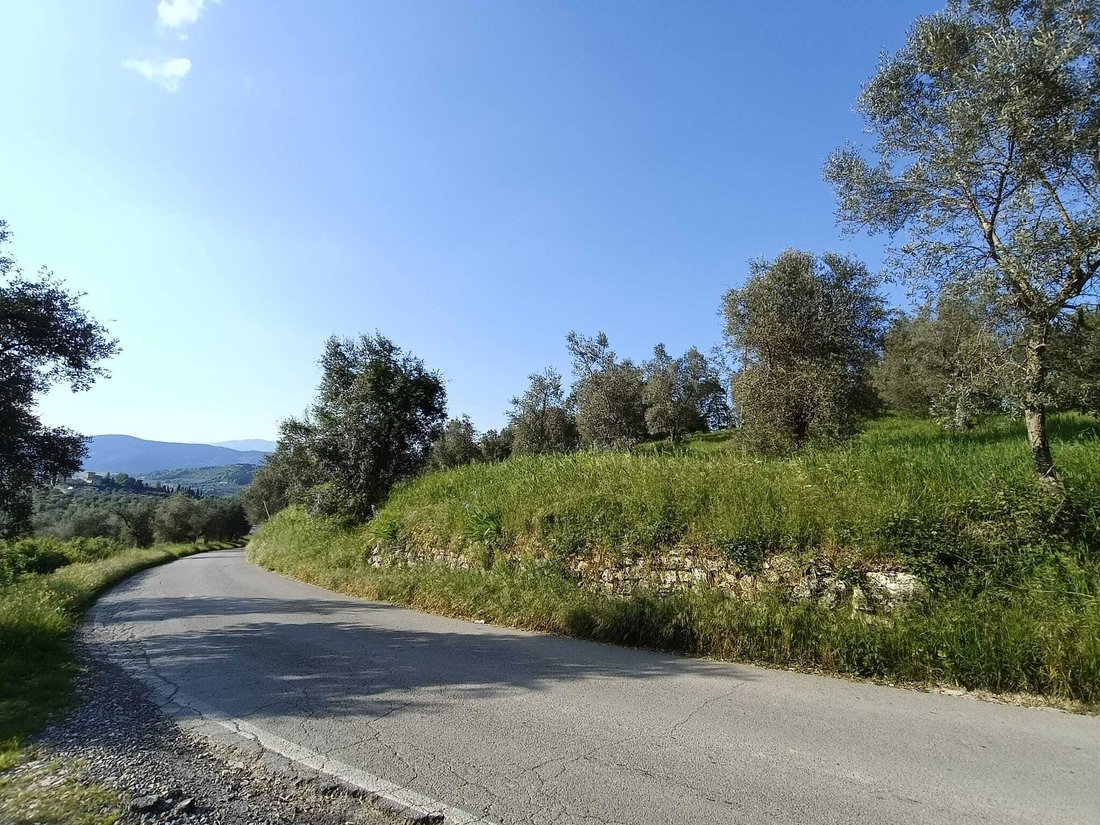 Farm Ranch in Rufina, Toskana, Italien 3 - 16839229