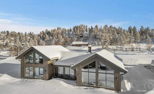 Chalet in Åseral, Agder, Norwegen 1