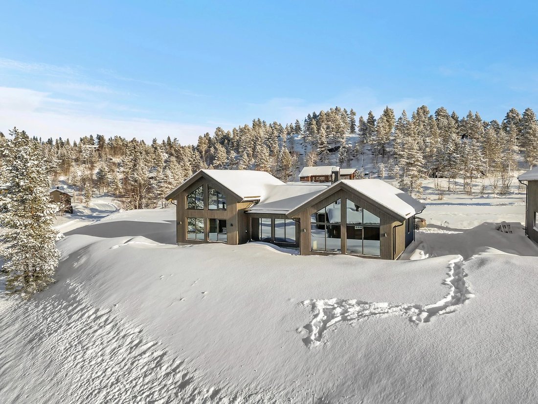 Chalet in Åseral, Agder, Norway 5 - 16835403