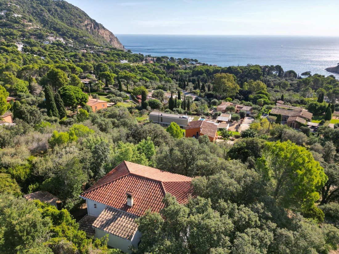 Terreno a Begur, Catalogna, Spagna 2 - 16841201