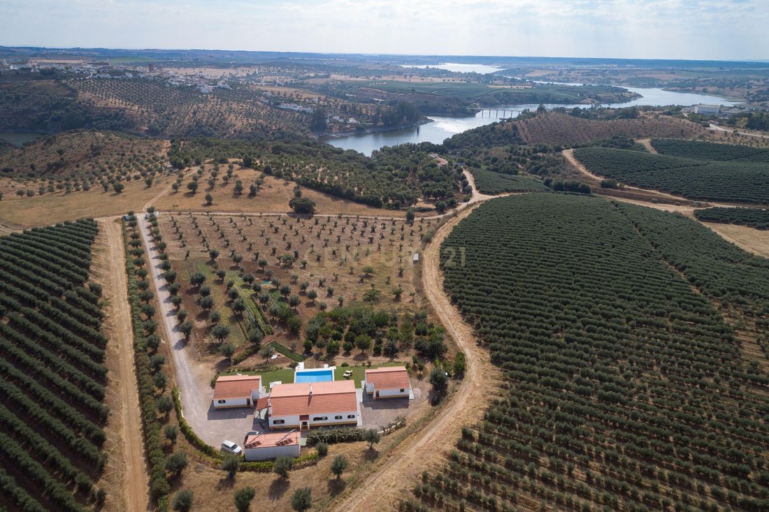 Farm Ranch in Avis, Portalegre District, Portugal 3 - 16733965