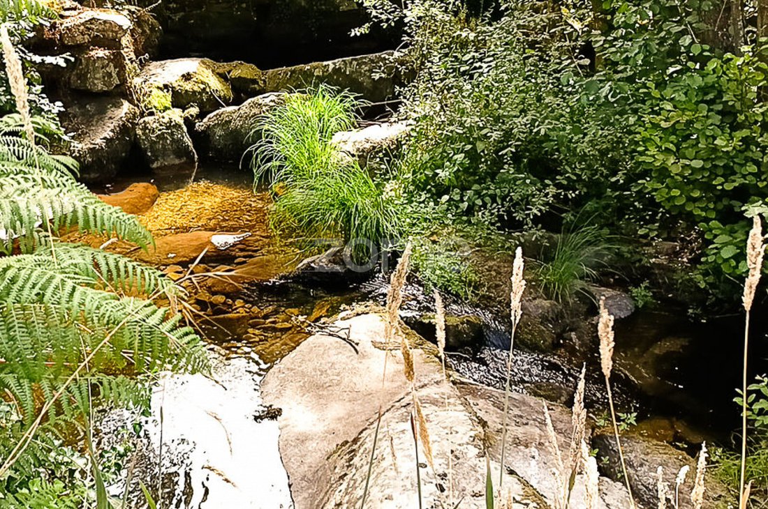 Finca in Tarouca e Dalvares, Viseu District, Portugal 1 - 16658420