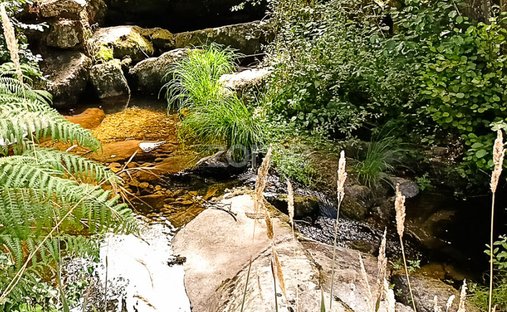 Finca in Tarouca e Dalvares, Viseu District, Portugal 1