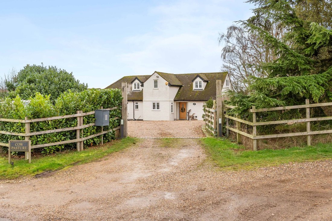 Bungalow in Albury, England 3 - 16842021