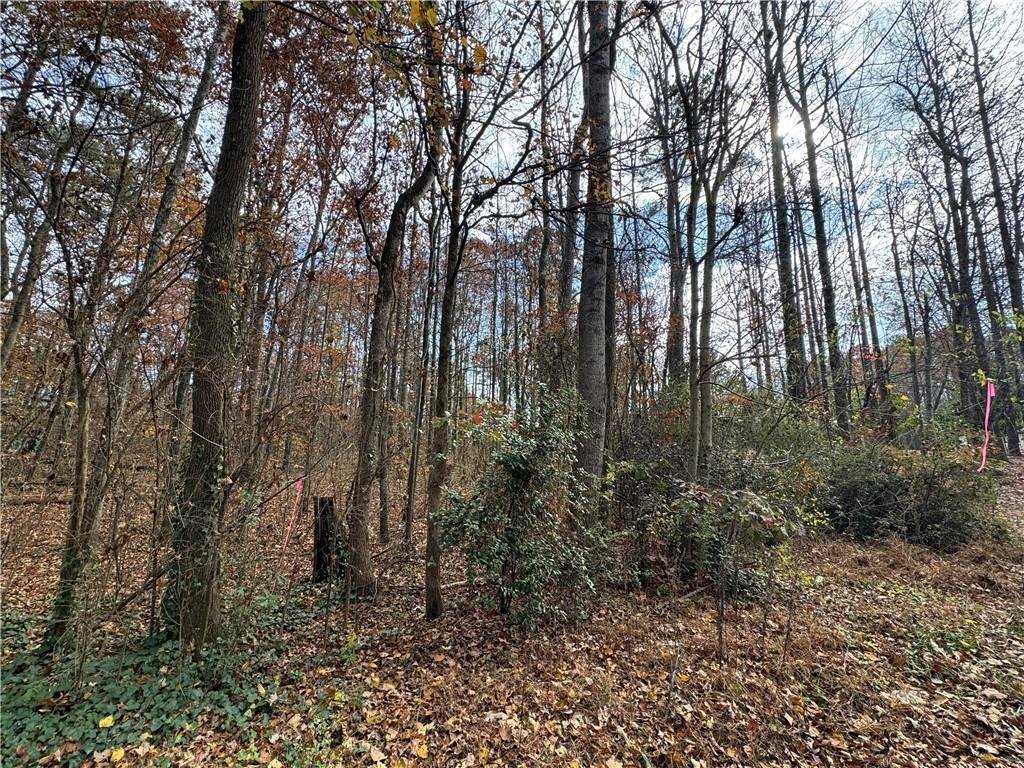 House in Acworth, Georgia, United States 1 - 16842210