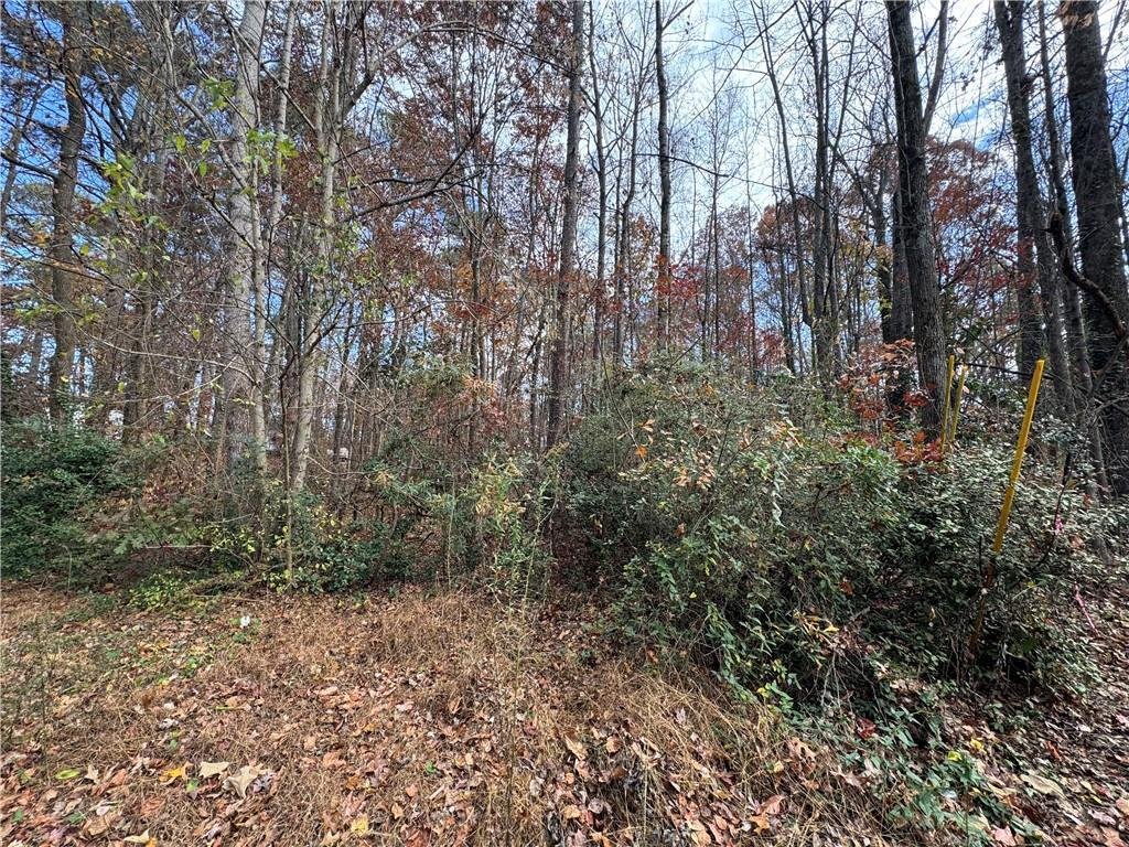 House in Acworth, Georgia, United States 2 - 16842210