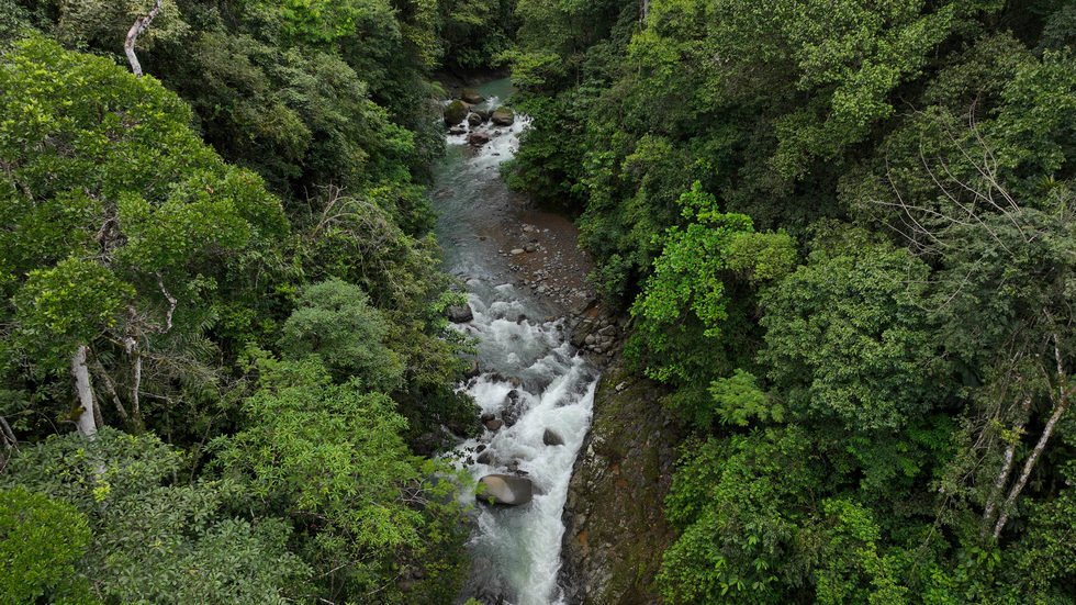 Land in Uvita, Puntarenas Province, Costa Rica 1 - 16841610
