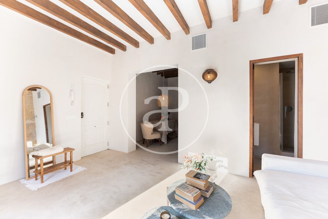 Apartment in Palma, Balearic Islands, Spain 4 - 16843426