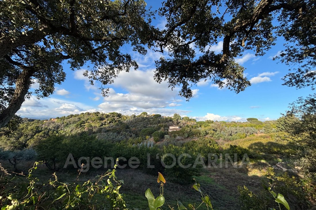 Land in La Roquette-sur-Siagne, Provence-Alpes-Côte d'Azur, France 1 - 16771411