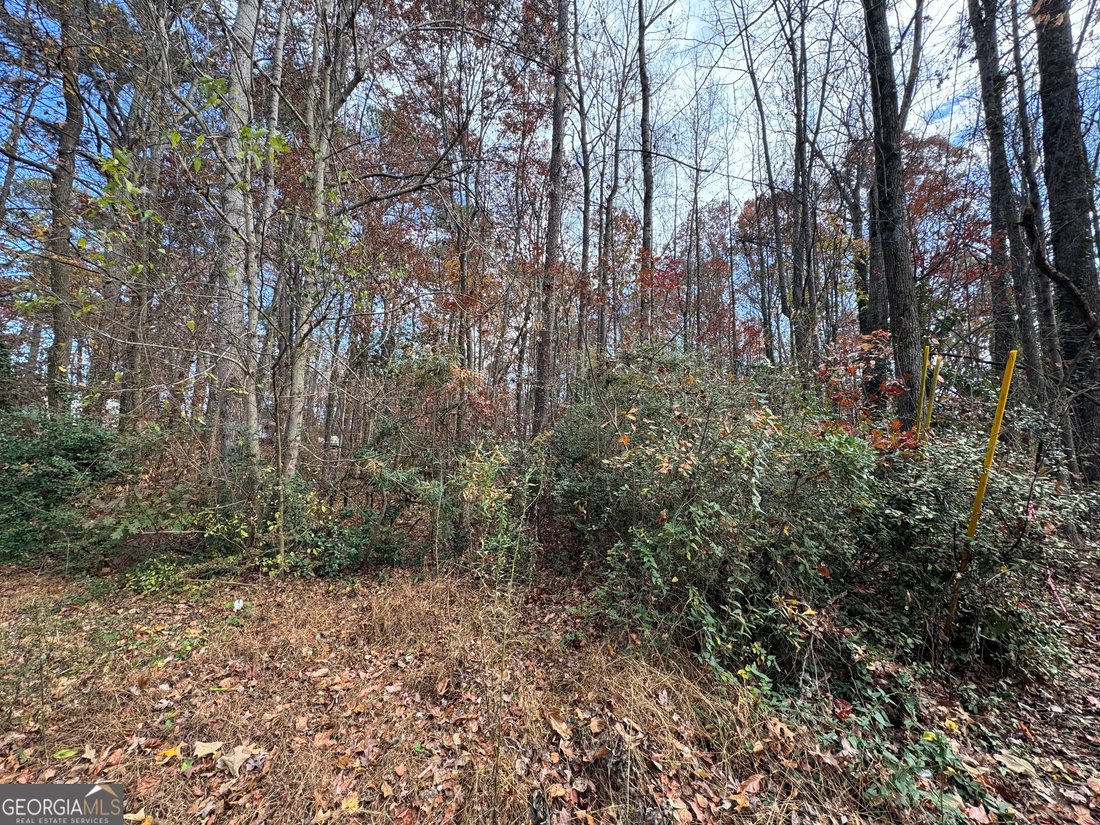 House in Acworth, Georgia, United States 2 - 16841414