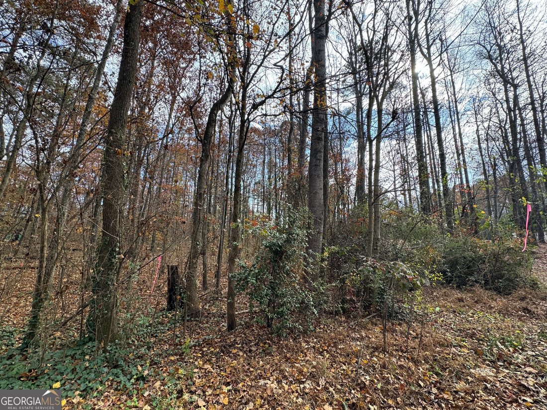 House in Acworth, Georgia, United States 1 - 16841414