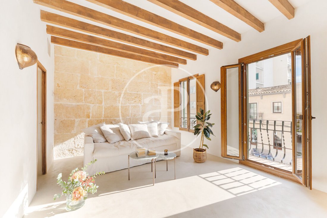 Apartment in Palma, Balearic Islands, Spain 2 - 16843426
