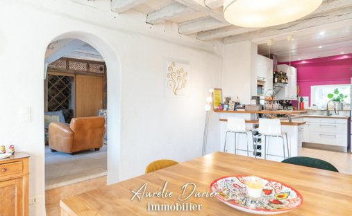 Castle for Sale in Tours, Centre-Val de Loire, France