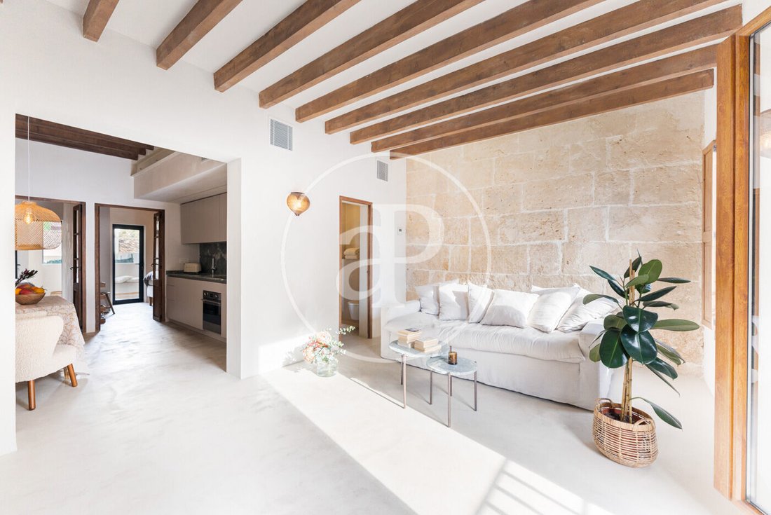 Apartment in Palma, Balearic Islands, Spain 3 - 16843426