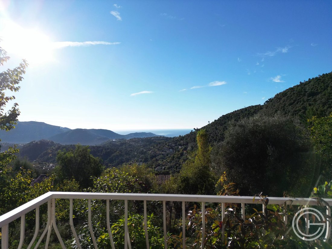 House in Falicon, Provence-Alpes-Côte d'Azur, France 1 - 16841771