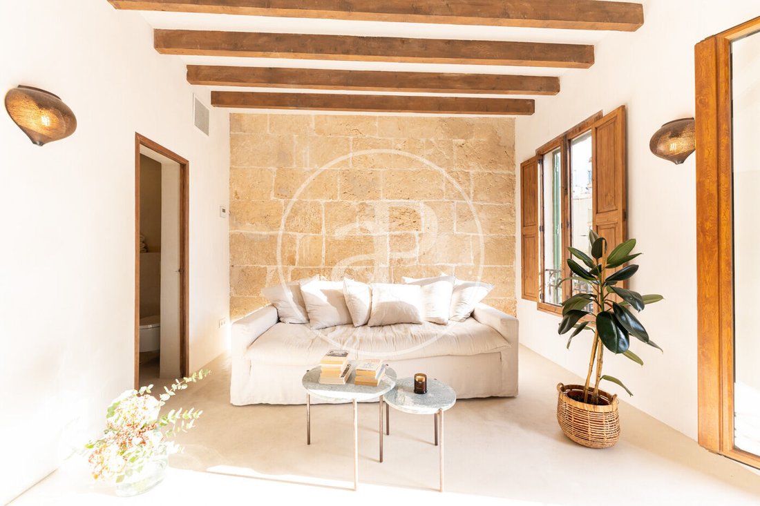 Apartment in Palma, Balearic Islands, Spain 1 - 16843426