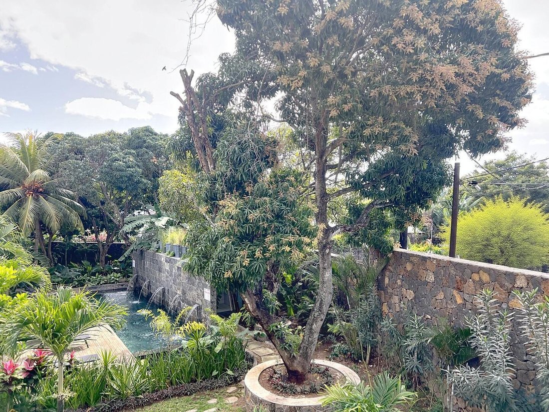 Apartment in Grand Baie, Pamplemousses District, Mauritius 2 - 16841167