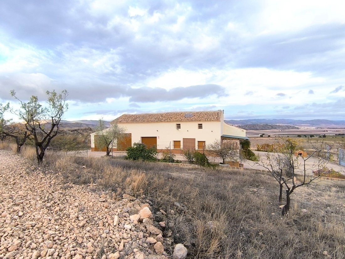 Country House in Yecla, Región de Murcia, Spain 4 - 16843504
