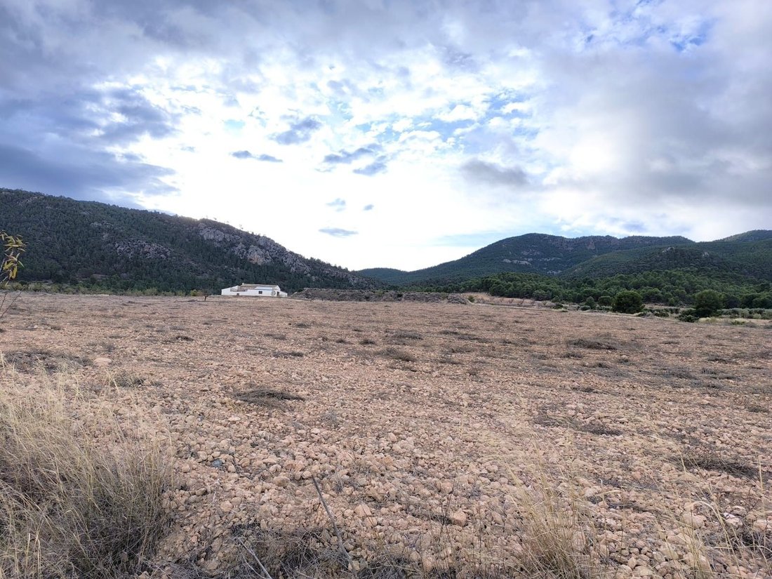 Country House in Yecla, Región de Murcia, Spain 1 - 16843504