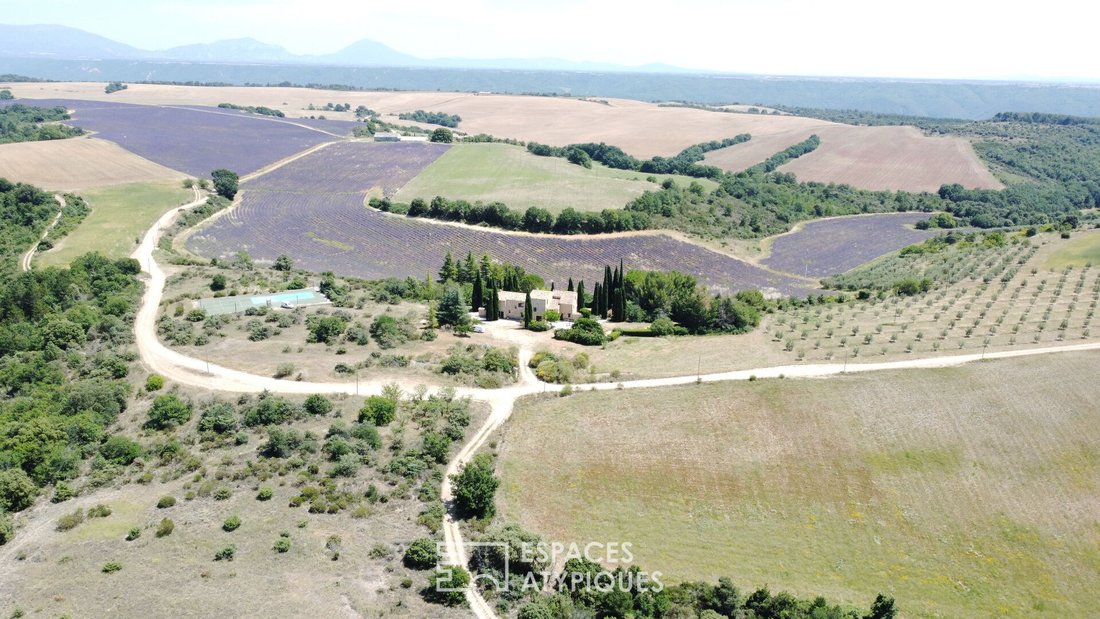 Villa in Oraison, Provence-Alpes-Côte d'Azur, Frankreich 4 - 16844188