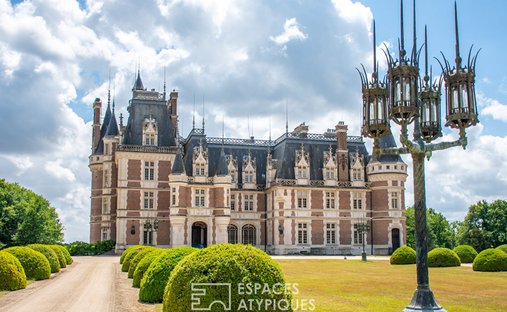 Superbly Restored 14th Century Castle, 10 Minutes From Blois - 3