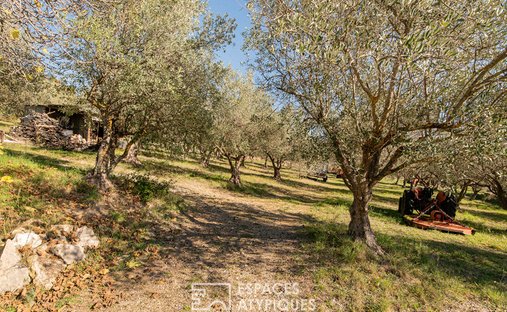 Castle for Sale in Manosque, Provence-Alpes-Côte d'Azur, France
