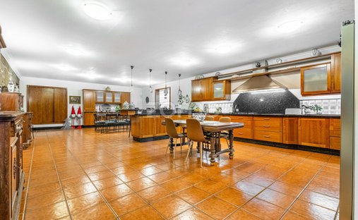 Finca a Ferreiros, Prozelo e Besteiros, Braga, Portogallo 1
