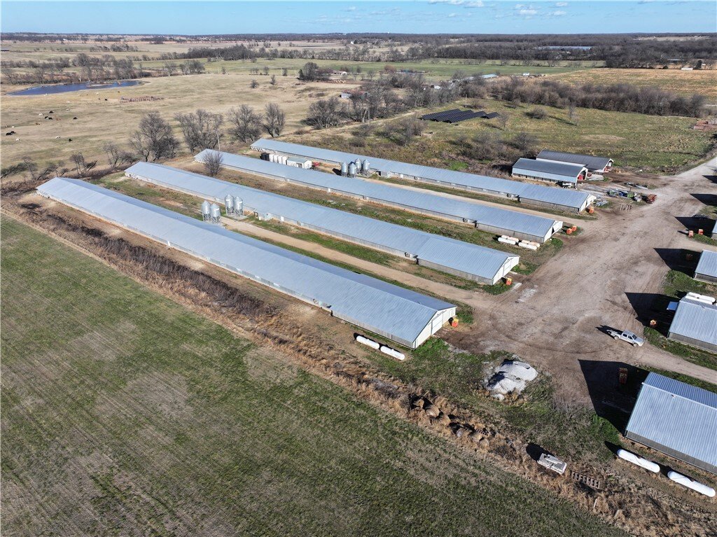 Farm Ranch in Maysville, Arkansas, United States 3 - 16849435