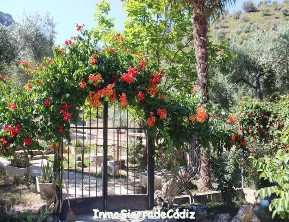 Country House in Zahara, Andalusia, Spain 4 - 16851140