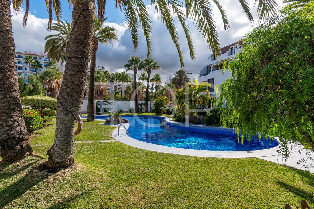 Apartment in Playa de las Americas, Canary Islands, Spain 3 - 16850704
