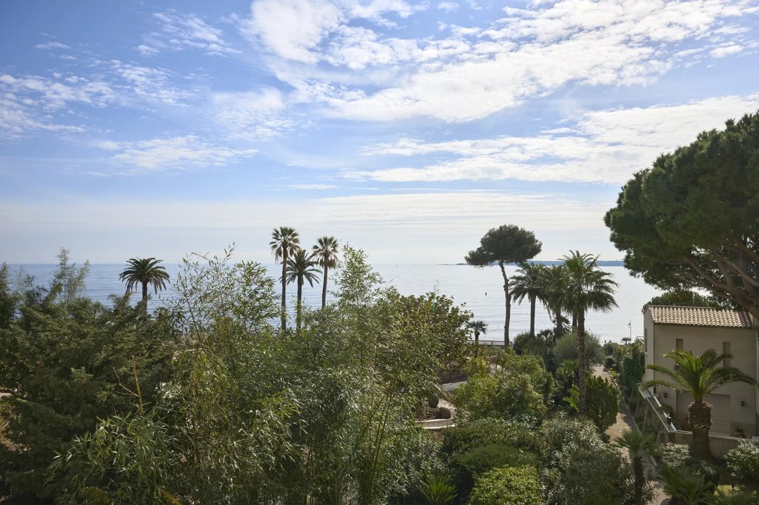 Apartment in Cannes, Provence-Alpes-Côte d'Azur, France 3 - 16844636