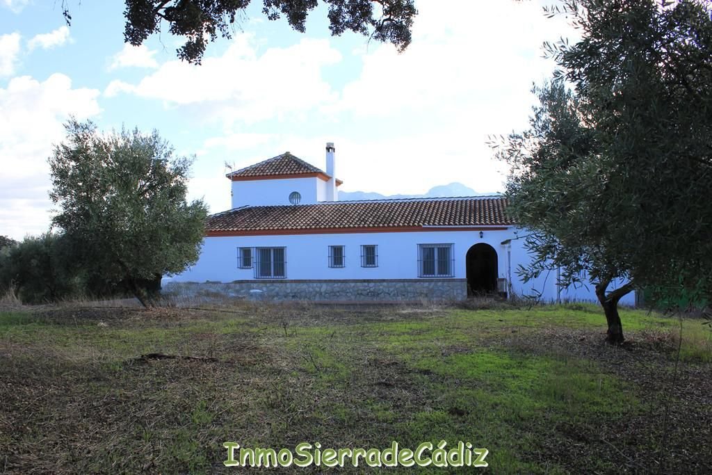 Country House in Algodonales, Andalusia, Spain 3 - 16851175