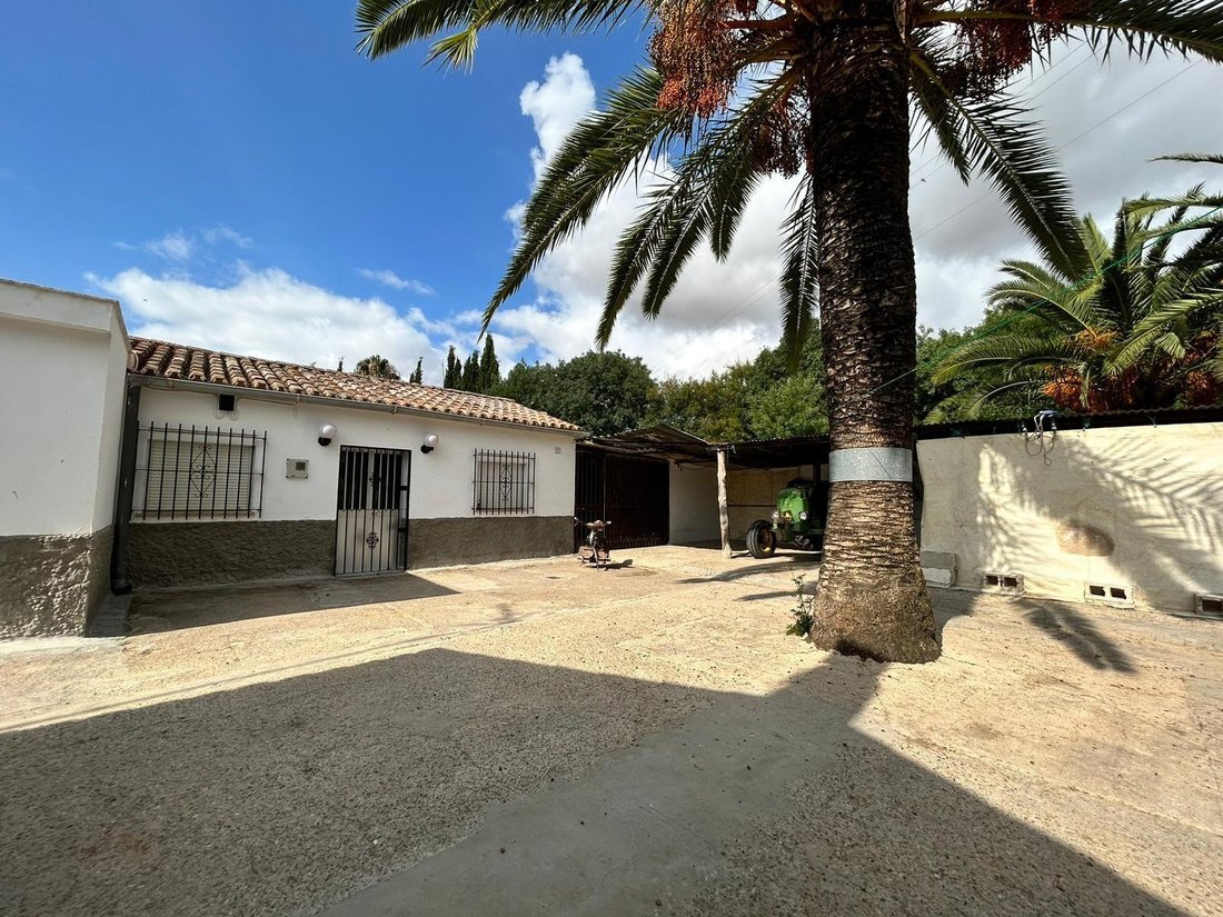 Estate in Jerez De La Frontera, Andalusia, Spain 2 - 16851514