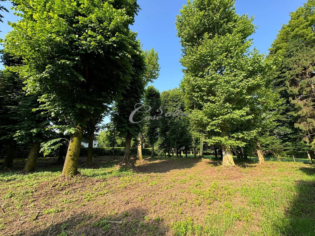 Land in Carimate, Lombardy, Italy 2 - 16847128