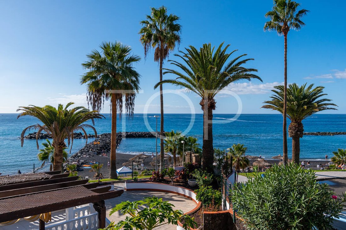 Apartment in Costa Adeje, Adeje, Canary Islands 1 - 16850706
